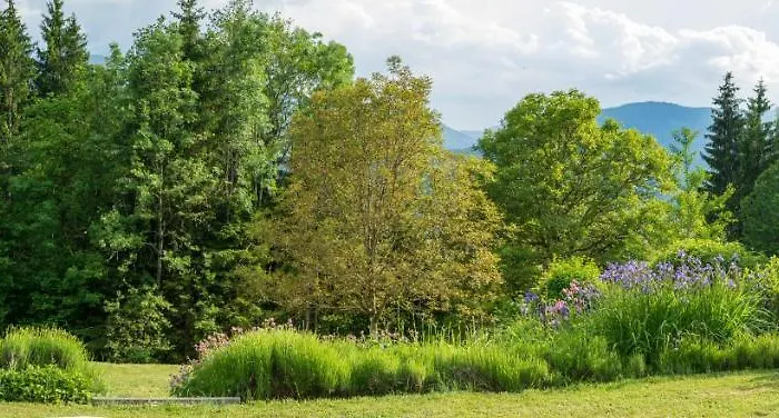 Chalet Gartenlodge Auszeit Nötsch