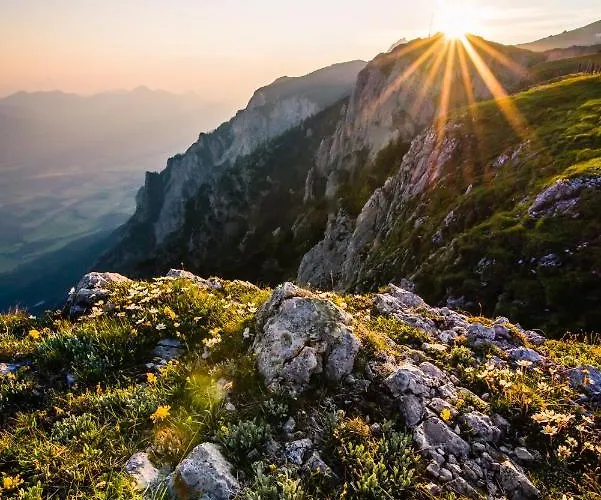 Gartenlodge Auszeit Dağ evi Nötsch